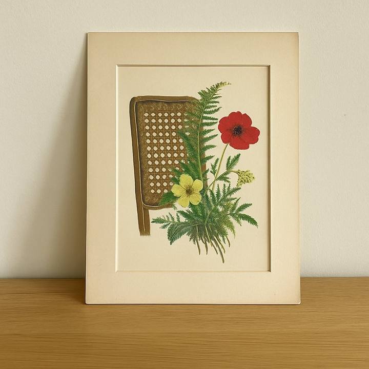 Cane-Back Botanical Plate Print
