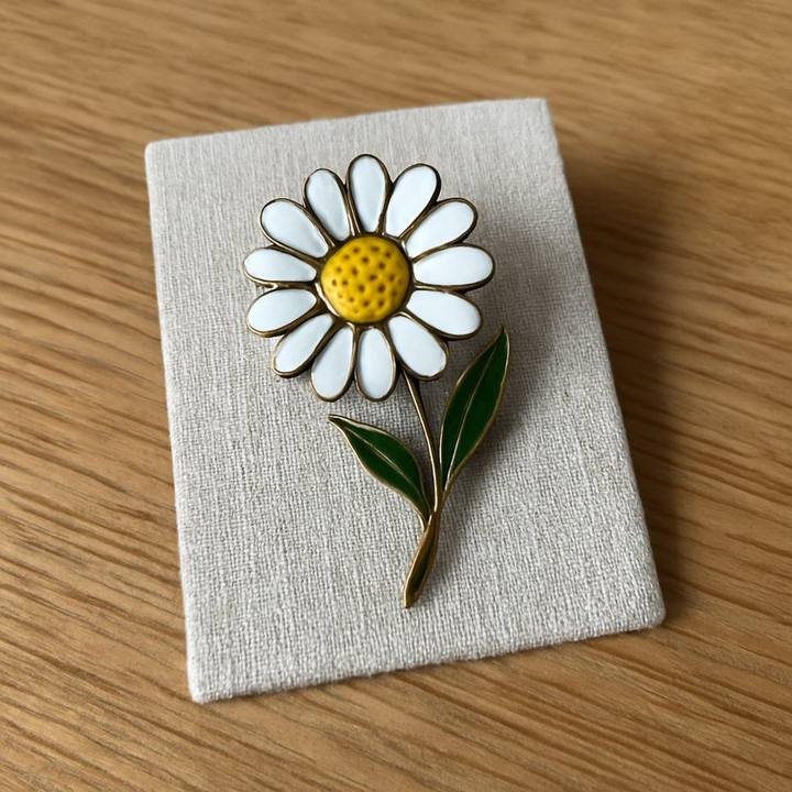 Enamel Brooch